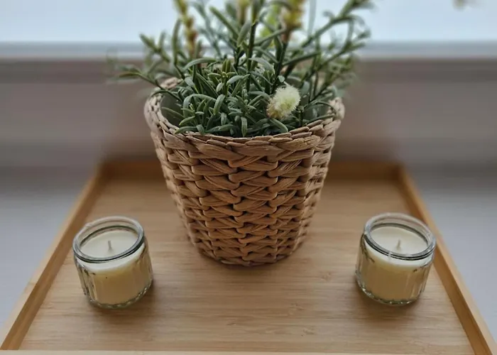 Apartament Bothsanleger *